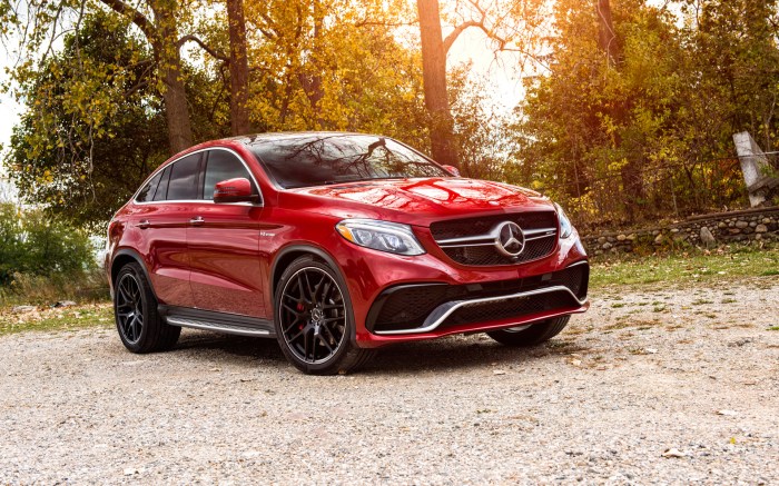 Gle amg